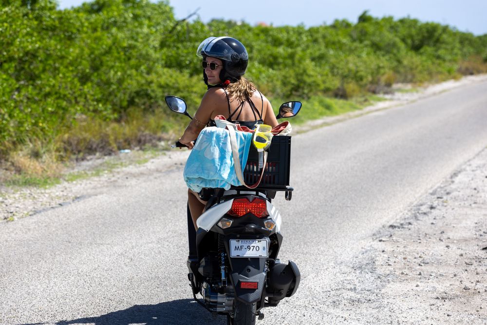 Need more time to explore? Check out our specials!